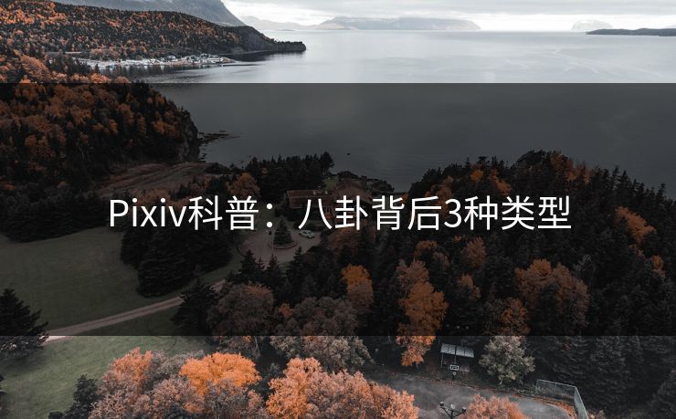 Pixiv科普：八卦背后3种类型
